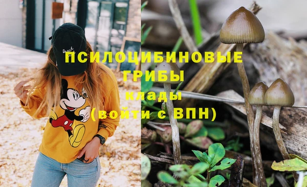 а пвп мука Алзамай