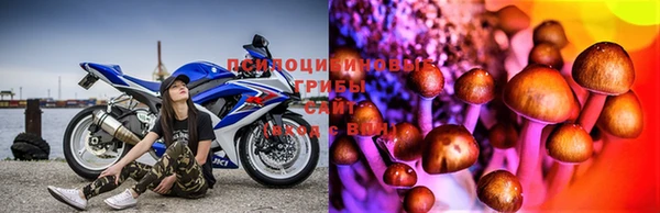 винт Алексеевка