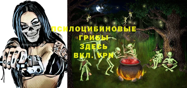 дурь Алексин