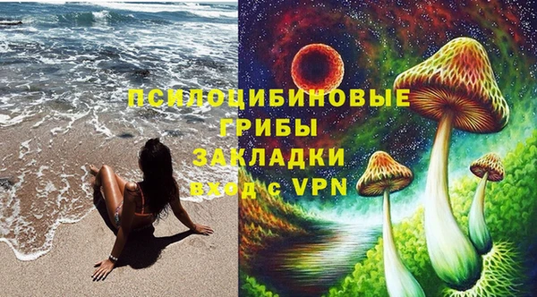 дурь Алексин