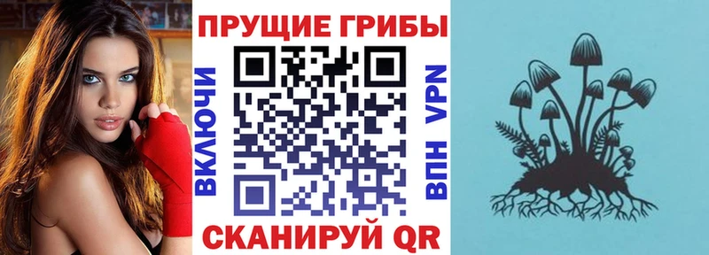 hydra онион  Печоры  Псилоцибиновые грибы MAGIC MUSHROOMS  наркота 